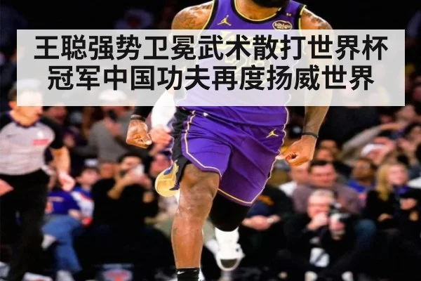 王聪强势卫冕武术散打世界杯冠军中国功夫再度扬威世界